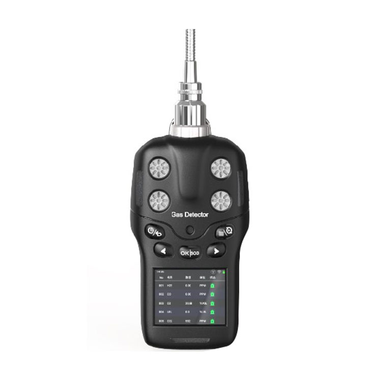 Tragbarer 4-in-1-Gasdetektor